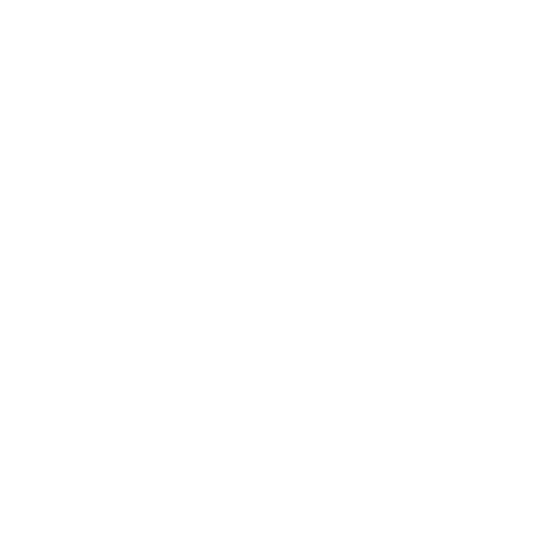 LEMISA